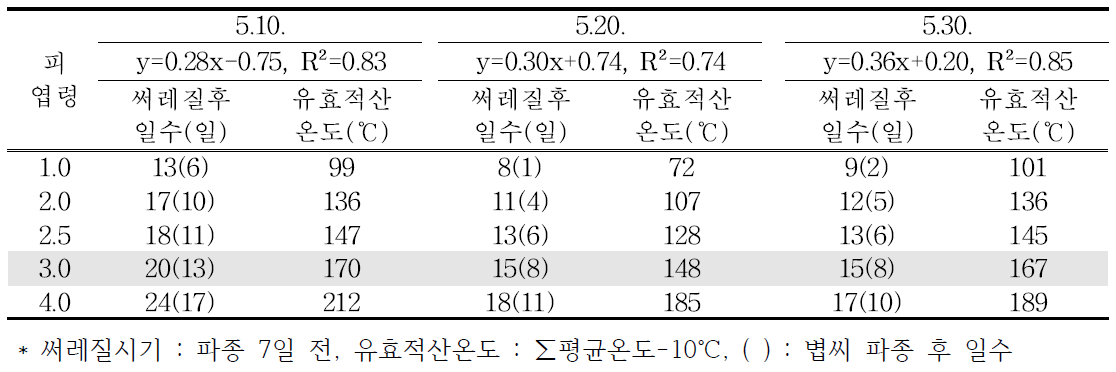 무처리구 파종시기별 피 엽령 도달시기 및 유효적산온도