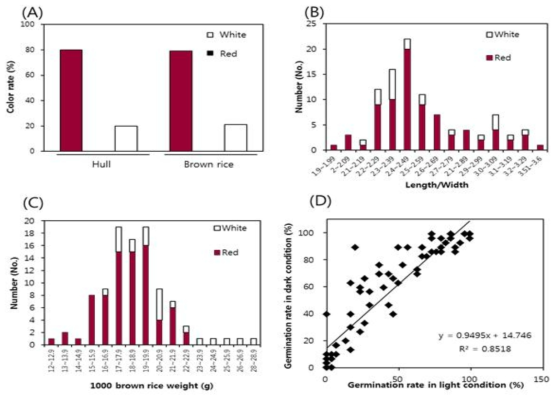 Characteristics of weedy rice material. (A) Color rate (%) of hull and brown rice, (B) length and width ratio of brown rice, (C) 1000 brown rice weight (g) and (D) germination rate (%) in light and dark conditions