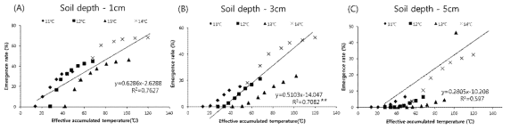 Relation of effective accumulated temperature (℃) with emergence rate (%) under different soil depth conditions in low dormancy weedy rice. Effective accumulated temperature was calculated by sum the mean temperature above 10℃