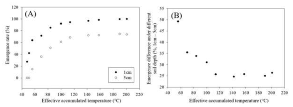 Emergence rate (%) under different soil depth conditions. (A) Emergence rate in 1 and 5 cm of soil depth according to effective accumulated temperature. (B) Difference of emergence rate (%) between 1 and 5 cm of soil depth conditions according to effective accumulated temperature. Effective accumulated temperature was calculated by accumulating temperatures of 11℃ or above