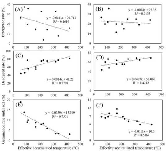 Seed condition of weedy rice according to effective accumulated temperature under 5 cm of water depth (A, C, E) and 10 cm of water depth (B, D, F) condition. Emergence rate (A, B), dead seed rate (C, D) and germination rate under soil (E, F) were checked at 30 days after water draining. Effective accumulated temperature was calculated by cumulating the average temperature over 10 ℃ in each temperature condition