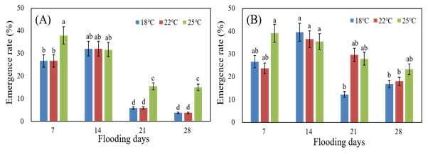 Emergence rate (%) according to different flooding periods under 5 cm of flooding depth (A) and 10 cm of flooding depth (B) condition. Seed of weedy rice germplasm were sowed under 5 cm of soil depth then treated different water depths, cultivated at different temperature conditions until emergence was finished