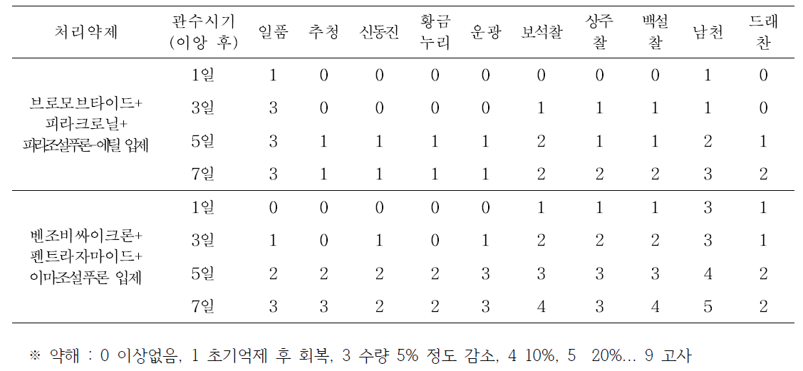 온실에서 이앙동시처리제들 처리 후 관수시기별 주요 벼 품종별 약해변동