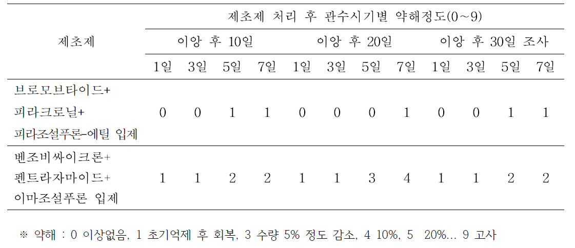 논에서 벼 이앙동시 제초제 처리 후 관수시기별 약해 변화