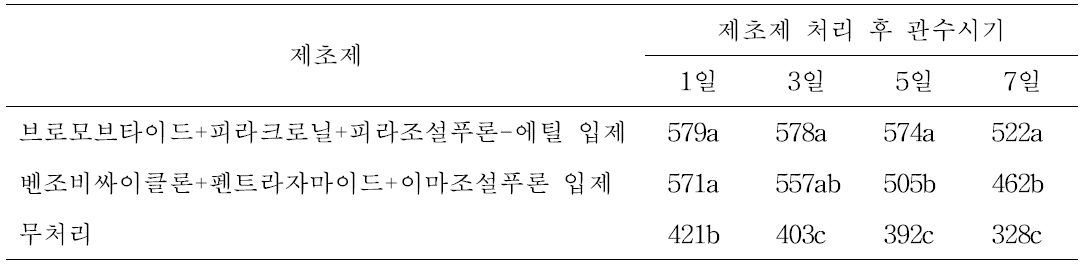 논에서 벼 이앙동시처리 제초제의 관수시기별 쌀 수량(kg/10a)