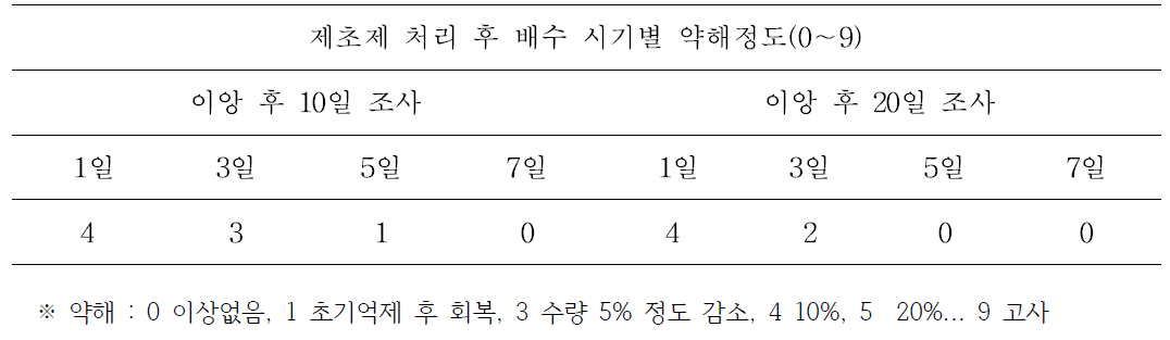 논에서 벼 이앙동시 제초제 처리한 다음 관수 후 배수시기에 따른 벼 약해정도