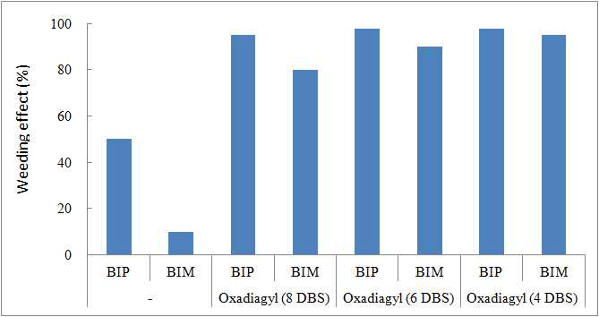 Weed control effect according to herbicides application systems applied oxadiargyl on 8, 6 and 4 days before seeding and BIP or BIM on 10 days after seeding for resistant Echinochloa oryzicola in puddle-spot sowing rice paddy field. DBS: days before seeding, oxadiargyl (680 g a.i. ha-1), BIP: bromobutide+imazosulfuron+pyraclonil (900 +75+180 g a.i. ha-1), BIM: bromobutide+imazosulfuron+metamifop (900+75+90 g a.i. ha- 1)