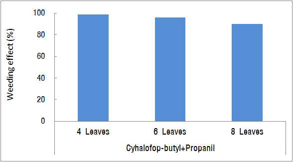 Weed control effect of cyhalofop-butyl+propanil EC (225+2,000 g a.i. ha-1) appl ied on 30 days after direct seeding for 4, 6 and 6 leaves times of resistant Echinochl oa oryzicola in puddle-spot sowing rice paddy field