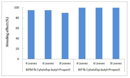 Weed control effect of herbicides system applied BIPM or BIP on 10 days and cyhalofop-butyl+propanil on 30 days after direct seeding for resistant Echinochloa oryzicola in puddle-spot sowing rice paddy field. BIPM: benzobicyclon+imazosulfuron+pyriminobac-methyl (220+75+30 g a.i. ha-1), BIP: bromobutide+imazosulfuron+pyraclonil (90 0+75+180 g a.i. ha-1), cyhalofop-butyl+propanil EC (225+2,000 g a.i. ha-1)