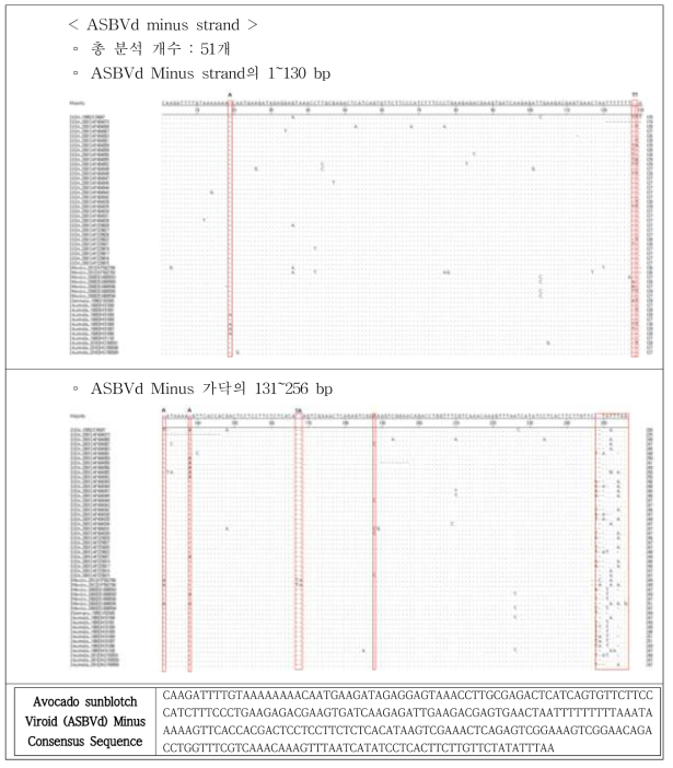 Avocado sunblotch Viroid (ASBVd) Minus 가닥 서열 DB 분석