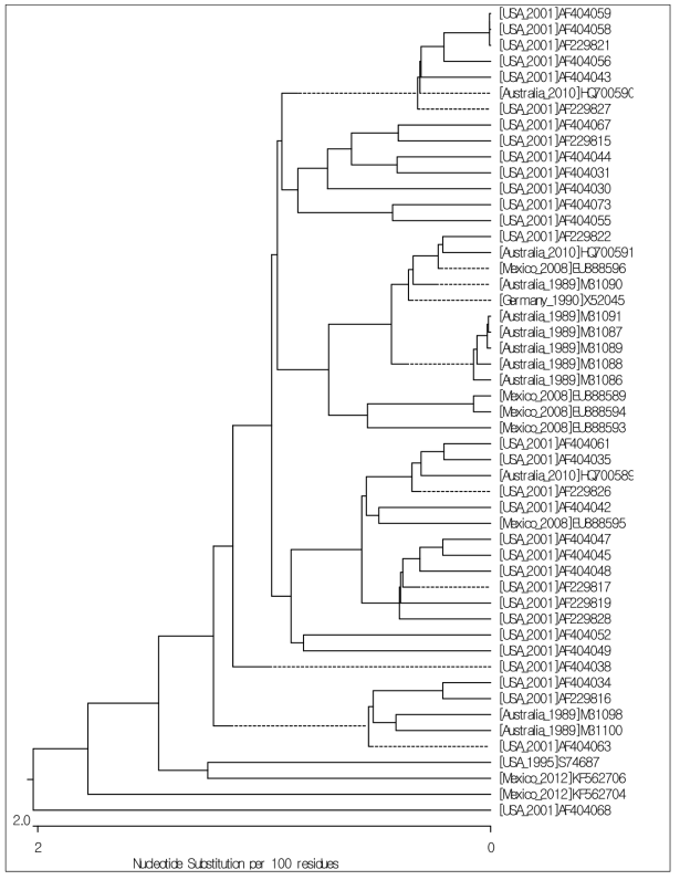 ASBVd Minus 가닥의 Phylogenetic Tree