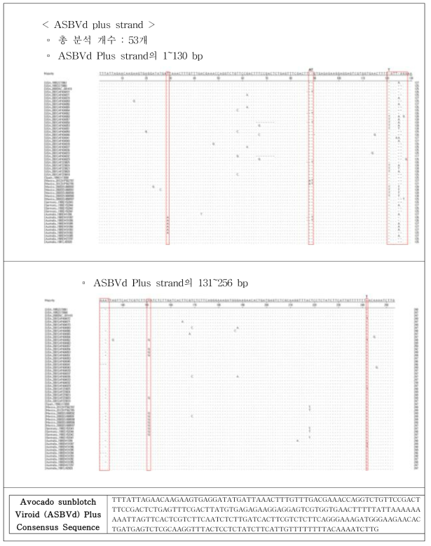 Avocado sunblotch Viroid (ASBVd) Plus 가닥 서열 DB 분석
