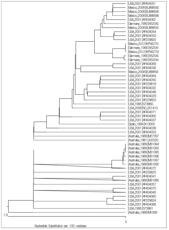 ASBVd Plus 가닥의 Phylogenetic Tree