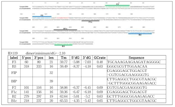 GYSVd-1 LAMP primer 후보군 2