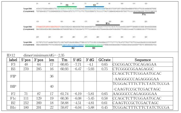 GYSVd-2 LAMP primer 후보군 1