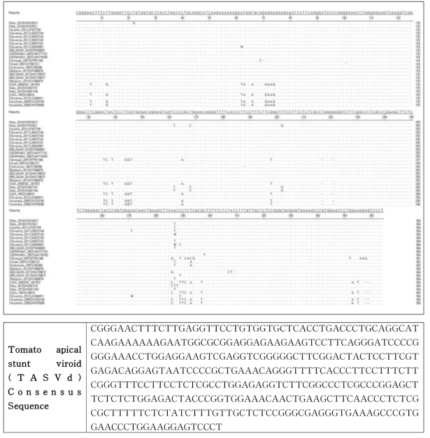 Tomato apical stunt viroid (TASVd) 서열 DB 분석