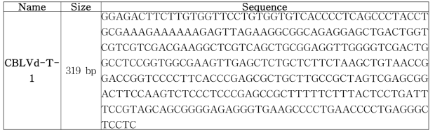 CBLVd의 서열 (319 bp)