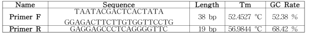 RNA를 얻기 위한 프라이머 서열 및 정보