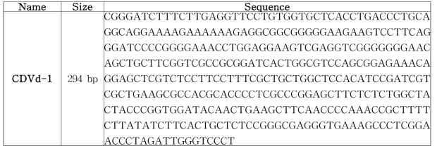 CEVd의 서열 (373 bp)