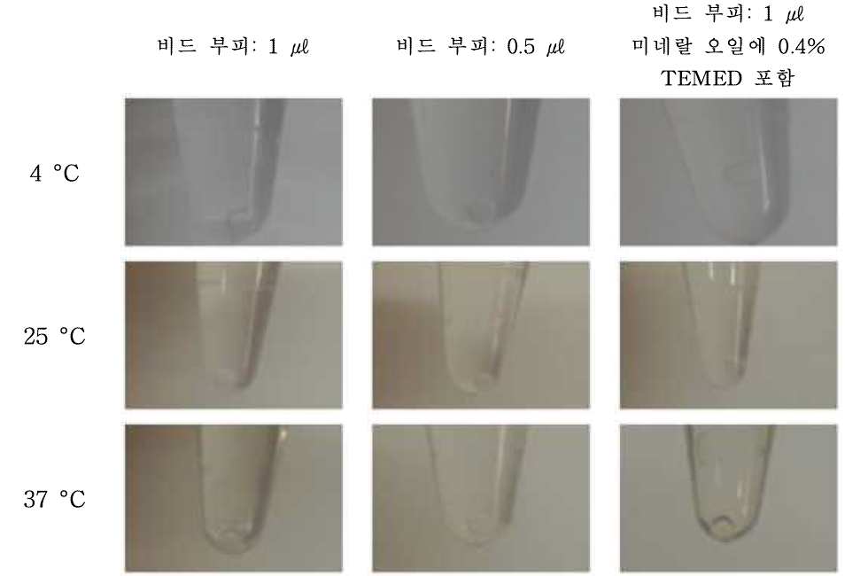 온도 및 조성에 따른 비드 경화 실험