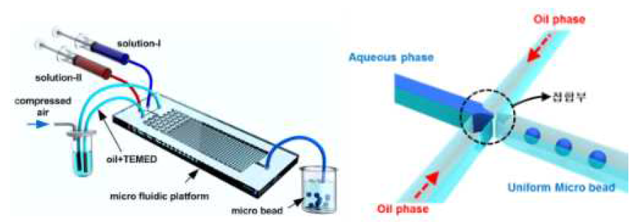 마이크로 비드를 생성 위한 미세 유체 제어 칩 및 생성 비드의 모식도