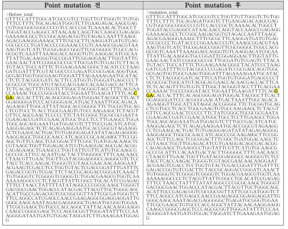 Point mutation 실시한 서열 결과