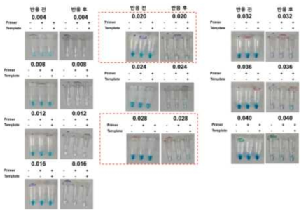 말라카이트 그린의 색 변화 실험 그림(2)-말라카이트 그린 농도 조건