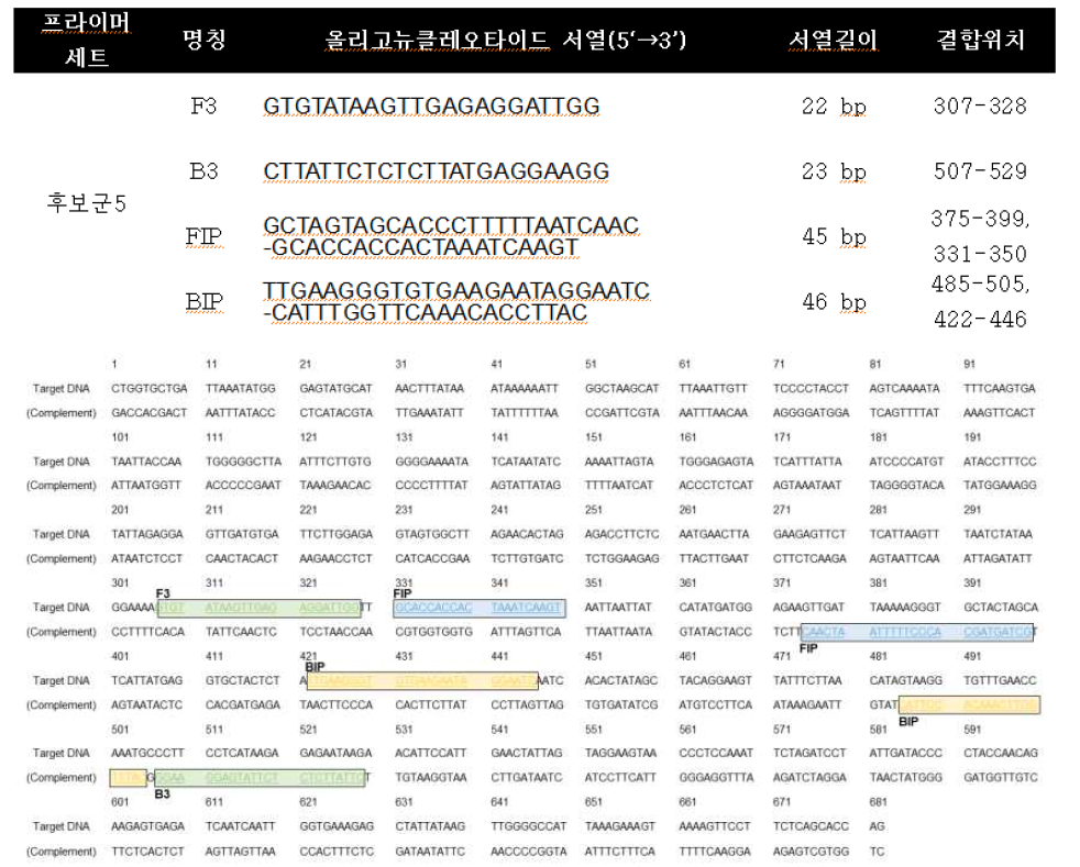 선정된 프라이머 셋트의 표적 유전자 결합 위치 확인