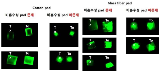 Wax printing 활용 오리가미 칩 구성 및 SYBR green I의 형광 확인-2