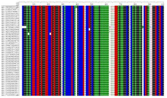 Citrus bent leaf viroid FASTA Sequence 분석