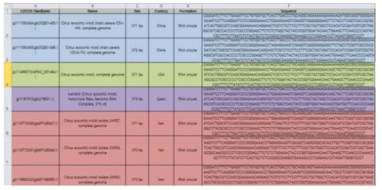 Citrus Exocortis viroid NCBI 기반 서열 데이터 (.Excel)