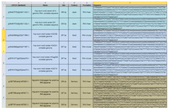 Hop stunt viroid NCBI 기반 서열 데이터 (.Excel)