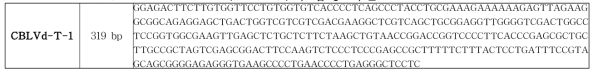 Citrus bent leaf viroid (CVd-Ib)의 합성 서열