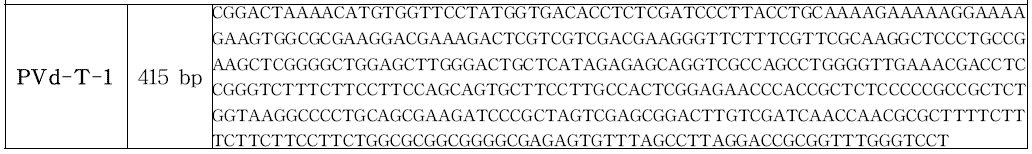 PVd-T-1의 서열 정보