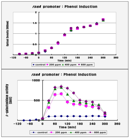 발현시간에 따른 resA promoter-mytomycin C 성장곡선(좌) 및 induction 후 β-galactosidase 활성곡선