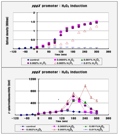 발현시간에 따른 yggX promoter-mytomycin C 성장곡선(좌) 및 induction 후 β-galactosidase 활성곡선