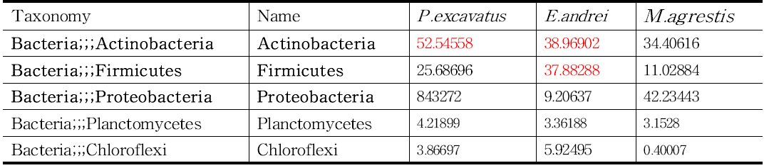 Bacteria 군집 구성 분석 결과
