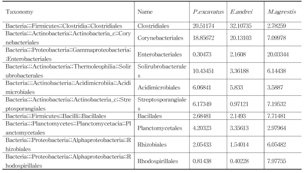 목(order) 기준으로 한 Bacteria 군집 구성 분석 결과