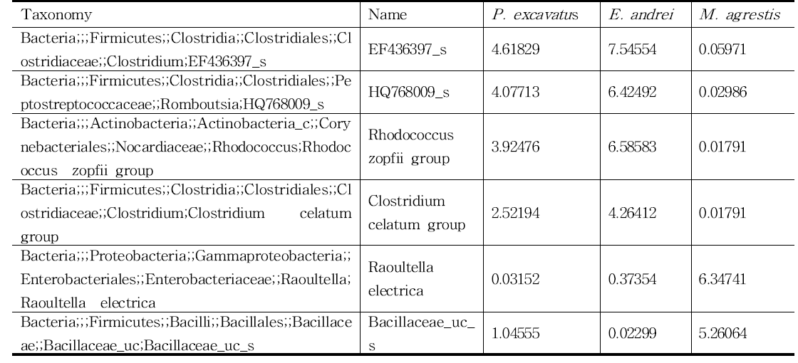종(Species) 기준으로 한 Bacteria 군집 구성 분석 결과