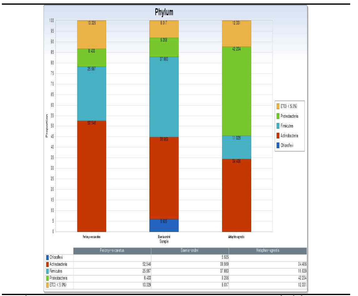Perionyx excavatus, Eiseina andrei, Metaphire agrestis에 대한 bacteria phylum 수준의 구성분석