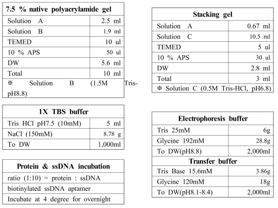 EMSA gel과 buffer 조성