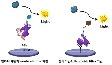 앱타머 기반 Sandwich ELISA 모식도 및 항체 기반 ELISA와의 비교