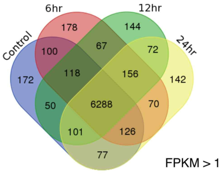 Venn diagrams of differential expressed genes in GPS treatment