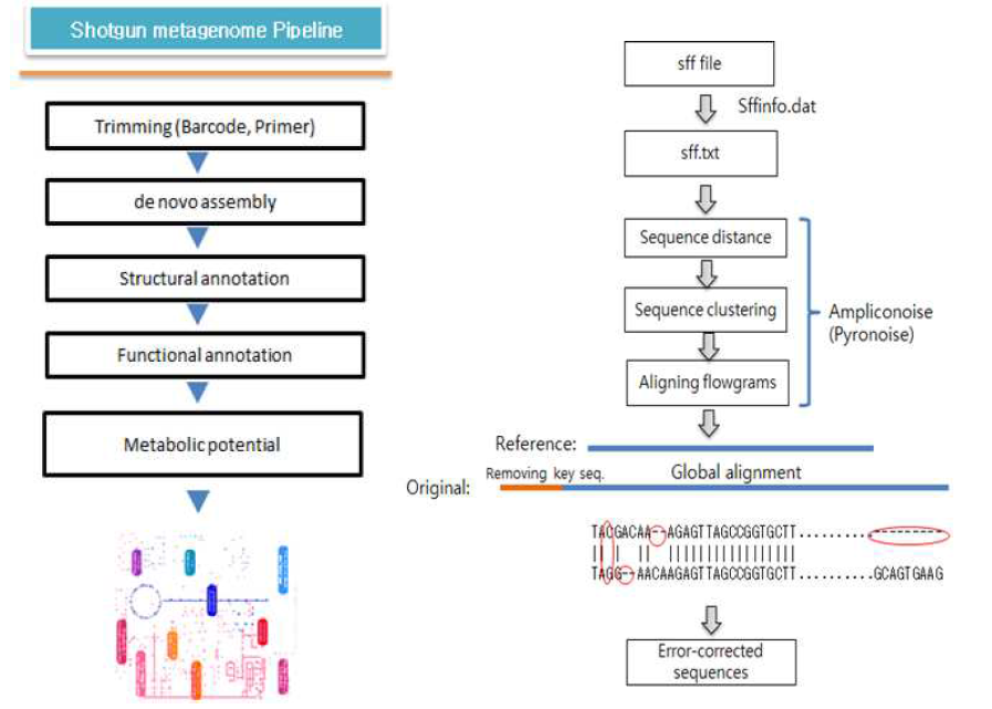 Shotgun metagenome 데이터 분석 파이프라인(좌) 및 장내미생물 유전자 서열 획득을 위한 Sequence Trimming methods(우)
