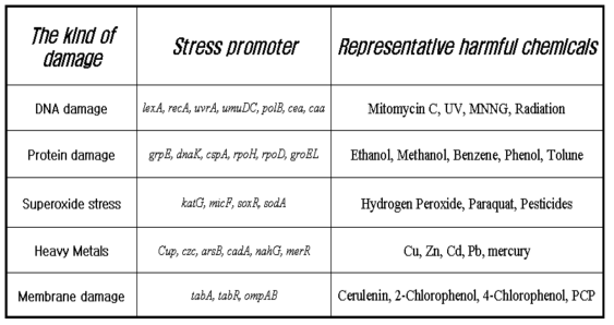 대장균의 스트레스 프로모터와 유해화학물질