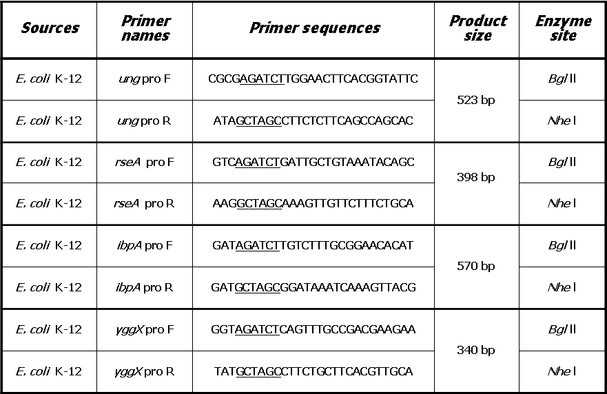 스트레스 프로모터 유전자 획득을 위한 PCR primer 서열