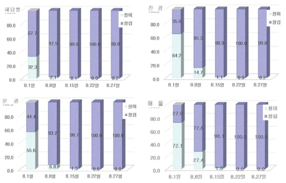 조기재배 수확시기별 현미 정립 및 청미 비율 발생 추이