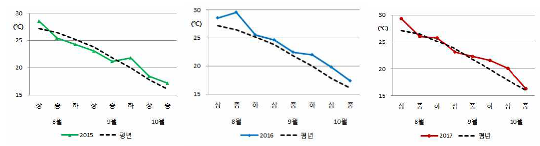 등숙기 년도별 평균 기온