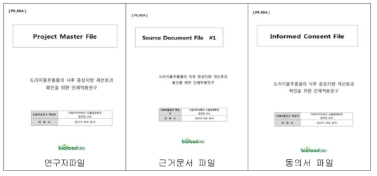 연구 파일