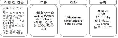 미성숙감 열수추출물 제조공정